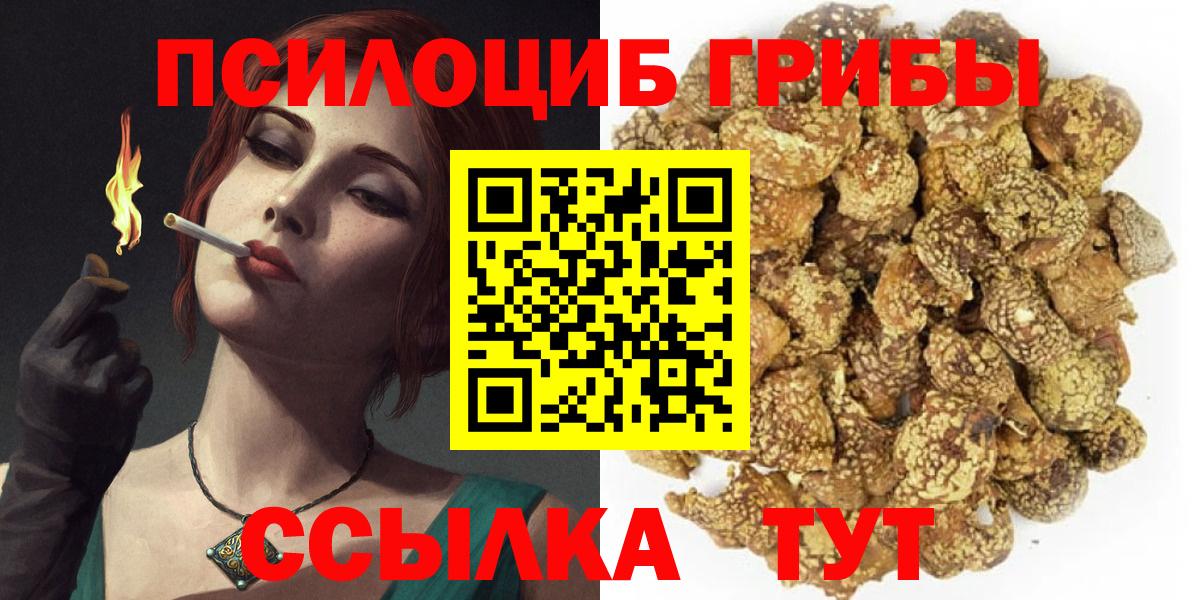 Галлюциногенные грибы Cubensis  Вход с VPN  Чита 